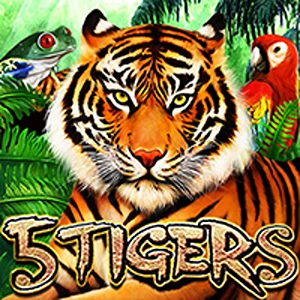 5 tigers